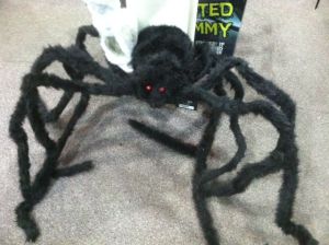 Giant spider attack! Giant spider attack!